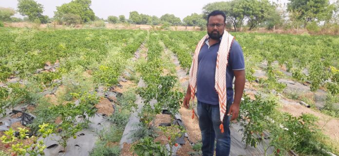 Shabbir Jagirdar has been working from home as software engineer, also doing farming