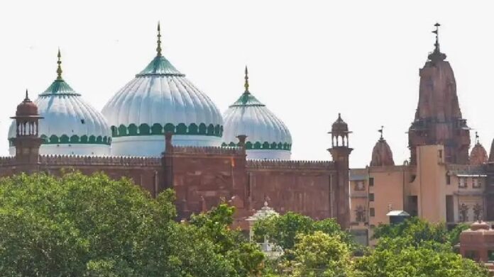 Plea filed in Mathura for removal of Meena Mosque