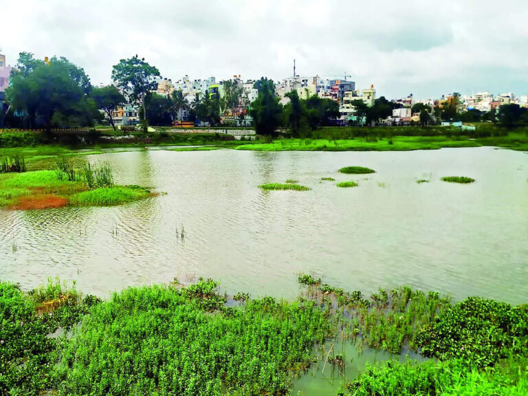 Water from Bengaluru lakes unfit for drinking says government report
