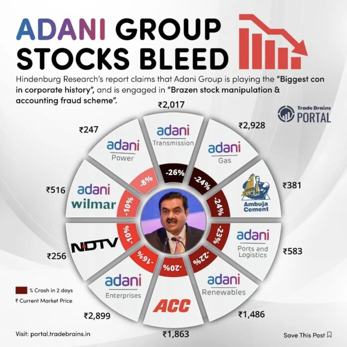 Adani Scam | Hidenberg report
