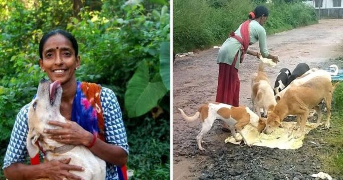 Rajani Shetty, who shows motherly love to hundreds of stray dogs gets Press Club Award