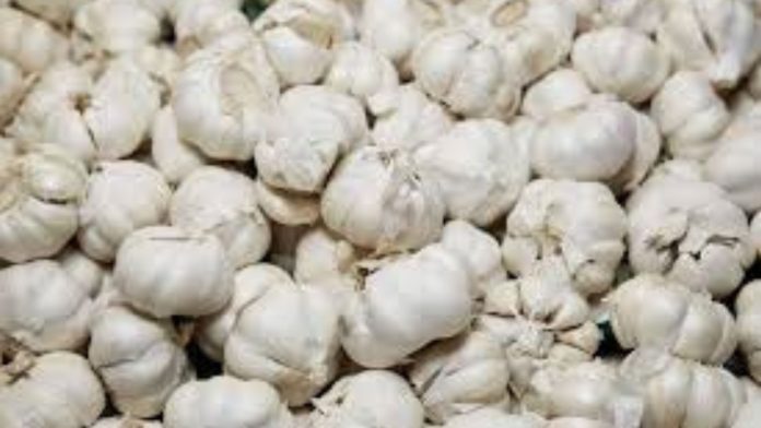 Lucknow Dangerous Chinese Garlic Infiltrates Markets